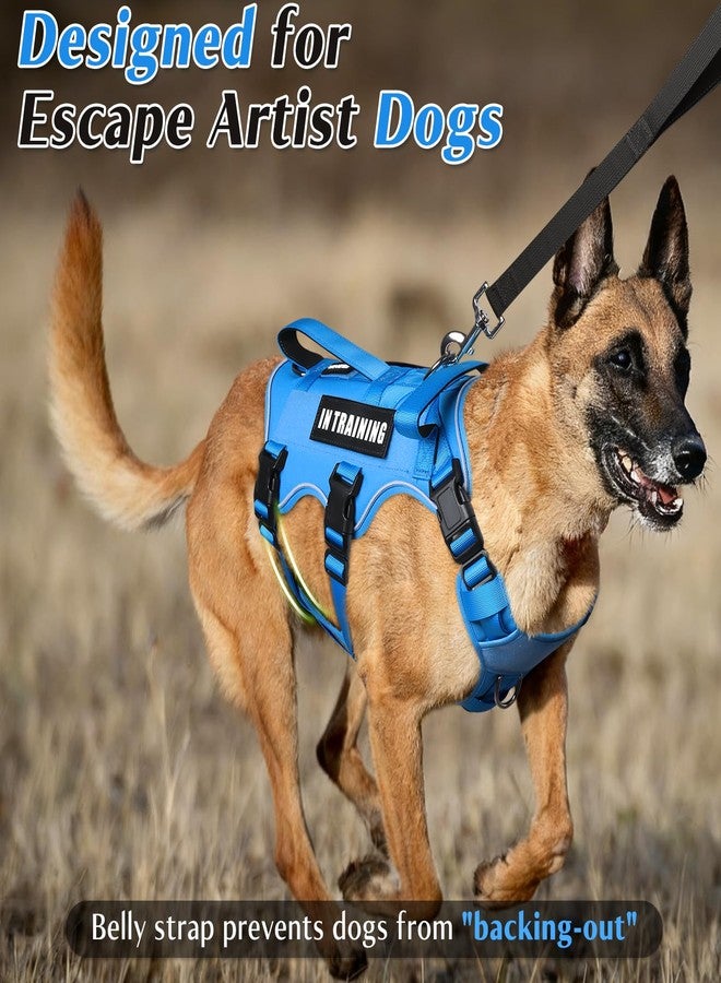 WINSEE Escape Proof Dog Harness, Service Working Molle Harness with Double Handle, Tactical Pet Vest with 4 Patches for Small Medium Large Dogs Walking Hiking Hunting - Image 2